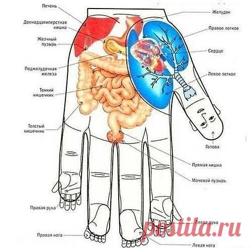 Массаж очень полезен для тела, организма - снимает напряжение, усталость, расслабляет, для любых мышц полезно, даже если вы не спортсмен, не работаете физически.