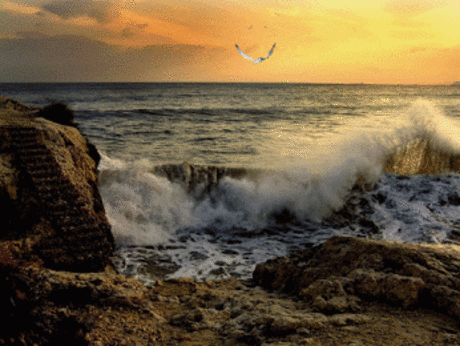 Yalcin Biricik – Google+