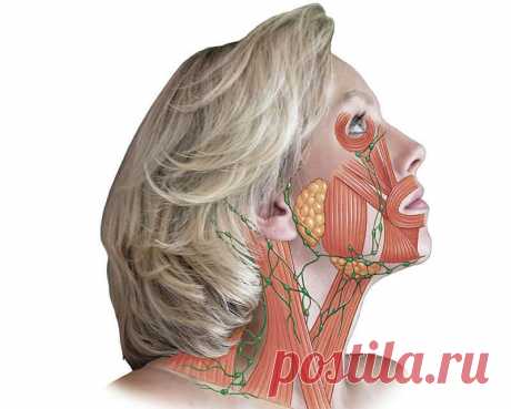 Как избавиться от морщин на шее: упражнения Джульетт Кандо Упражнения для шеи и плеч
У большинства людей в области верхней части спины, плечах и задней части шеи накапливается сильное напряжение. Ограниченность движений шеи, связана в основном с тем, что ее…