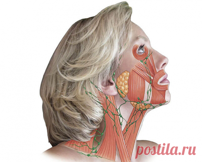 Как избавиться от морщин на шее: упражнения Джульетт Кандо Упражнения для шеи и плеч

У большинства людей в области верхней части спины, плечах и задней части шеи накапли­вается сильное напряжение. Ограниченность движений шеи, связана в основном с тем, что ее…