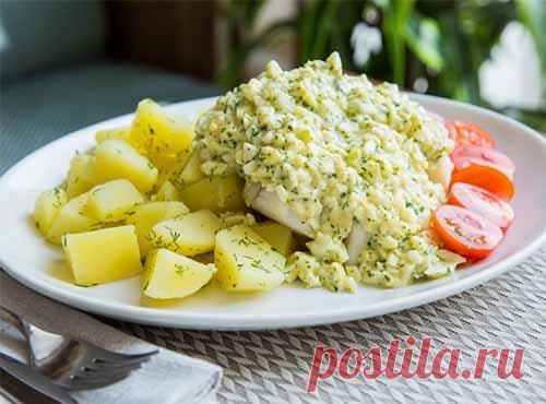 Рыба по-польски 
А вы уже пробовали готовить рыбу по-польски? Если нет – обязательно попробуйте сделать ее по этому рецепту. Без усилий и труда это блюдо внесет в меню вашей семьи разнообразие!
Что это за рыба такая …