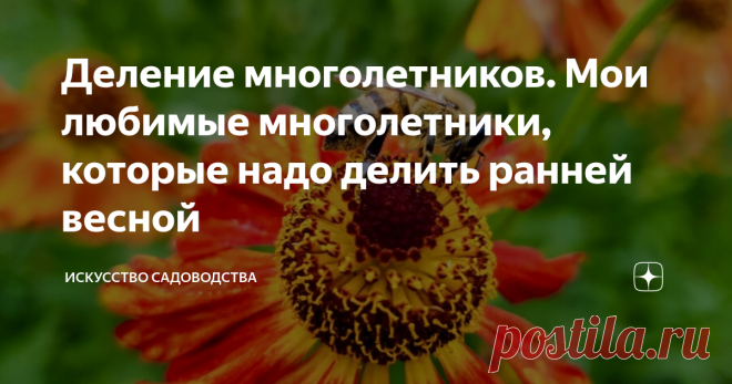 Деление многолетников. Мои любимые многолетники, которые надо делить ранней весной Три основные причины деления многолетних растений в саду
ограничение размера растений (позволяет контролировать быстрое распространение многолетников на клумбах)
помощь в их омоложении  (деление омолаживает старые растения,  сохраняя их жизнеспособность и #обильное цветение  Многолетникам  для правильного развития нужна определенная площадь, если корням и вегетативной массе растения тесно