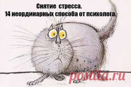 (63) Елена Москаленко