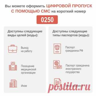 Пресс-служба Андрея Воробьева в Instagram: «Получить цифровой пропуск в Подмосковье можно по короткому номеру 0250 >>> На него надо отправить СМС, обозначив цель поездки. Чтобы…» 828 отметок «Нравится», 123 комментариев — Пресс-служба Андрея Воробьева (@press__mo) в Instagram: «Получить цифровой пропуск в Подмосковье можно по короткому номеру 0250 >>> На него надо отправить…»