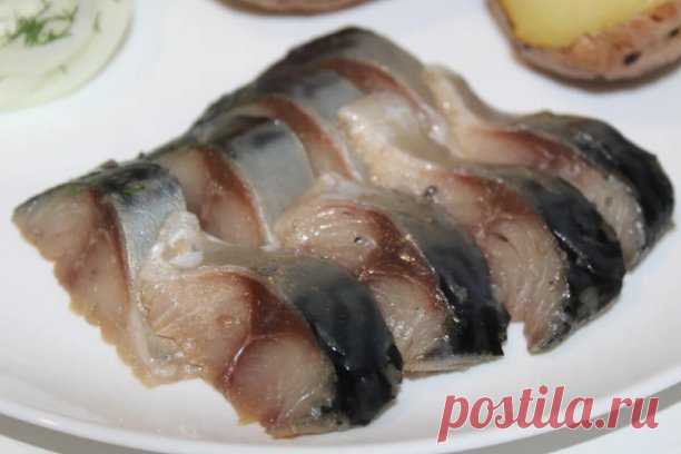 Нежнейшая скумбрия горячего посола.

 Рыба получается такой вкусной, что не стыдно и рецептом поделится.
Автор Дилетант на кухне
Необычность заключается в том, что рыба заливается очень горячим(90 - 95°C) маринадом.
Узнал я этот рецепт совсем недавно, впервые воспользовался им вчера, а сегодня провел дегустацию.
Так вот - скумбрия получилась такой вкусной, что я зараз умял целую рыбину. Приготовленная горячим посолом скумбрия получилась намного нежнее и мягче рыбы приготов...