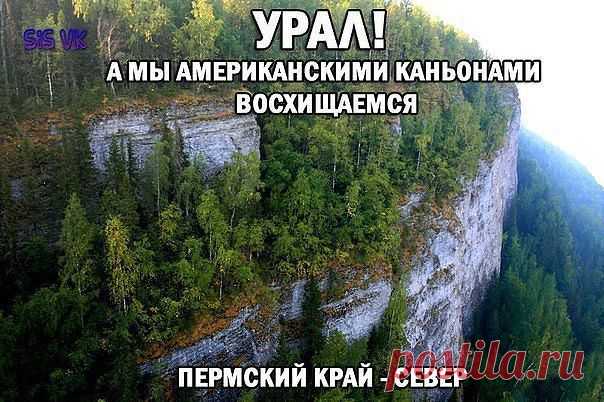 (19) Одноклассники