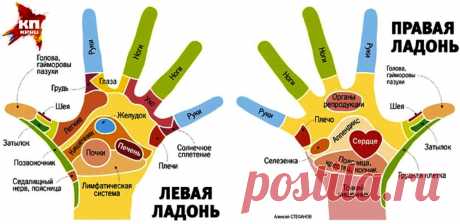 Рефлекторная карта рук