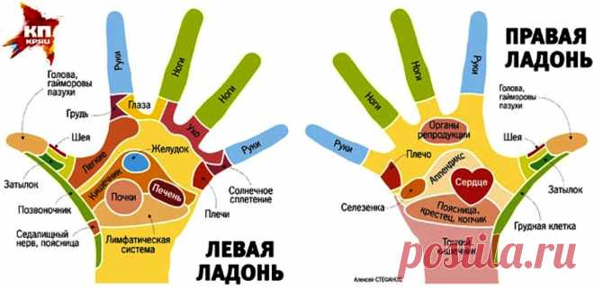 Рефлекторная карта рук