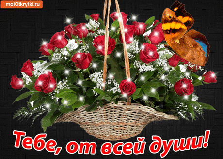 Прикольные и красивые поздравительные откытки - Бесплатно на https://moiotkrytki.ru