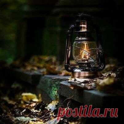 Календарь домашних практик на неделю с 28 сентября по 4 октября.

Вообще неделька весёленькая такая. Домашние духи ложатся спать, а перед сном, как перевозбудившиеся детки, могут проказничать. Духи природные тоже в большинстве своём на покой отправляются. И тоже буянят, особенно Лесной Хозяин не любит спать ложиться. 

В равноденствие Раху и Кету поменяли знаки и на полтора года вернулись в знак своей экзальтации. Это значит, что самое время для работы с теми местами дома,...