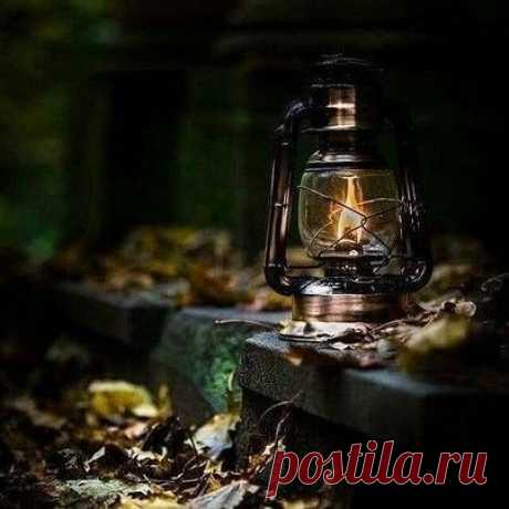 Календарь домашних практик на неделю с 28 сентября по 4 октября.

Вообще неделька весёленькая такая. Домашние духи ложатся спать, а перед сном, как перевозбудившиеся детки, могут проказничать. Духи природные тоже в большинстве своём на покой отправляются. И тоже буянят, особенно Лесной Хозяин не любит спать ложиться. 

В равноденствие Раху и Кету поменяли знаки и на полтора года вернулись в знак своей экзальтации. Это значит, что самое время для работы с теми местами дома,...