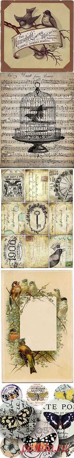 french bird | pinning printables