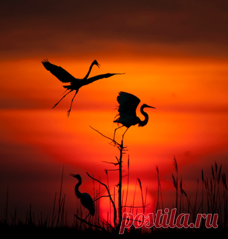Красивое
