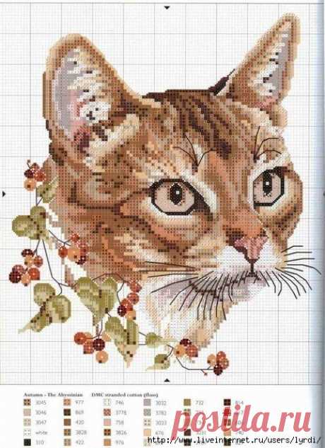 Коты (схемы вышивки крестом)