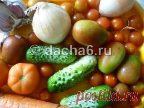 Когда и чем подкормить овощи таблица