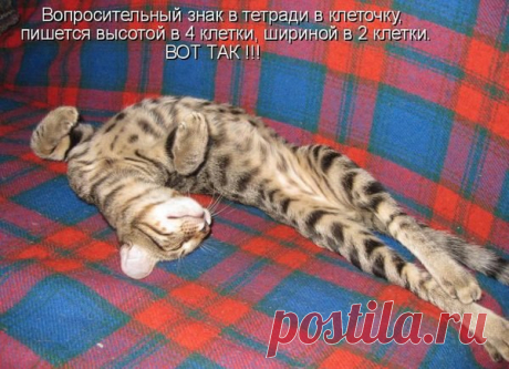 Интересные новости