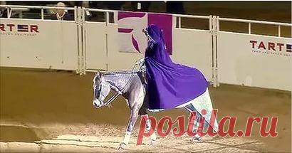 Зрителей удивились, увидев наряд этой наездницы. Но дождитесь, пока она снимет свой плащ! - МирТесен