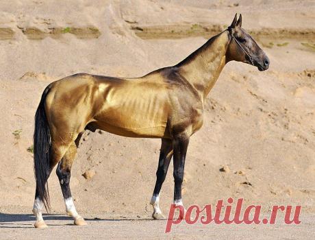 живое золото