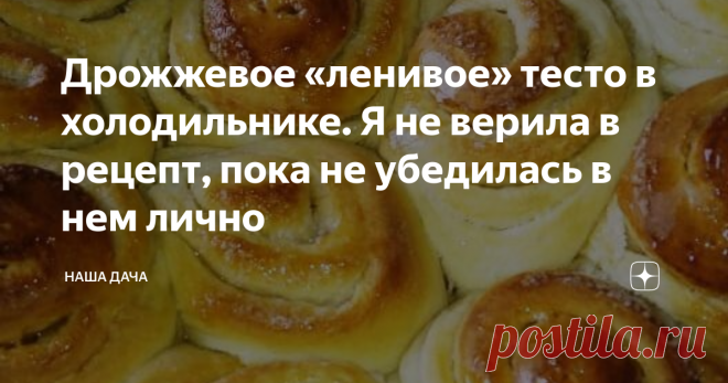 Дрожжевое «ленивое» тесто в холодильнике. Я не верила в рецепт, пока не убедилась в нем лично Рецепт этот подсказала мне моя тетка – она любит готовить так, чтобы было быстро, и вкусно. В классическом варианте приготовления «кислого» теста слово «быстро» неприемлемо – надо ждать, пока квашня поднимется минимум три раза. Я всегда делала дрожжевое тесто традиционным способом, пока тетя Маша не доказала мне эффективность другого метода. Такой способ зовется «ленивым» неспроста