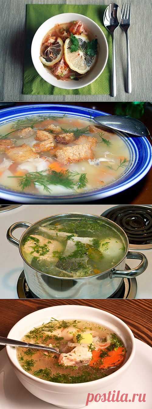 Уха из лососевых: готовим вкусный домашний суп