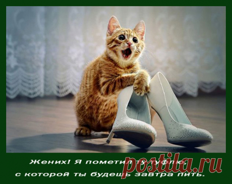 Что более важно в жизни: общаться, думать или работать?