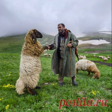 Photo shared by Carole Tanenbaum on December 20, 2020 tagging @mehmet__yener_, and @anadolualbum.