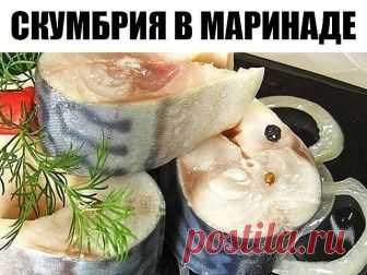 В таком маринаде скумбрия не уступает по вкусу красной рыбе В таком маринаде скумбрия не уступает по вкусу красной рыбе

Ингредиенты:
- Скумбрия (замороженная, разморозить) 2 шт
- лук репчатый по вкусу
- вода 250 мл
- гвоздика 6 шт
- перец горошком шепотка
- перец душистый молотый 1/3 ч л
- зерна кориандра шепотка
- соль 2 ч л
- сахар 0,5 ч л
- масло подсолнечное 2 ст л
- уксус яблочный 2,5 ст л

Приготовление:
1. Скумбрию почистить, порезать на кусочки.
2. Воду вскипятить...