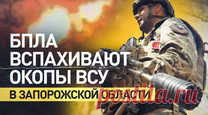 «Стараемся менять позицию чаще»: как российские операторы разрушают окопы ВСУ в районе пригорода Орехова. Операторы БПЛА 291-го полка разрушают систему укреплений ВСУ под Ореховым, оставляя минимальные проходы для штурмовой пехоты. В ходе ударов были уничтожены пикап с БПЛА и оператор РЭБ, сбивавший российские дроны. По словам бойца с позывным Сава, противник тратит до 20 FPV-дронов на одного российского пехотинца. Орехов превращён в мёртвую зону с жёстким контролем всех перемещений…