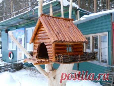 Кормушка для птиц | Сделай Сам www.sdelay.tv