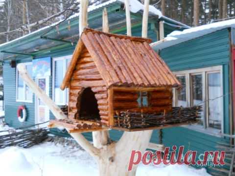 Кормушка для птиц | Сделай Сам www.sdelay.tv