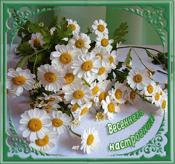 vesna_19.gif (600×563)