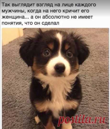 (9) Воспоминания
