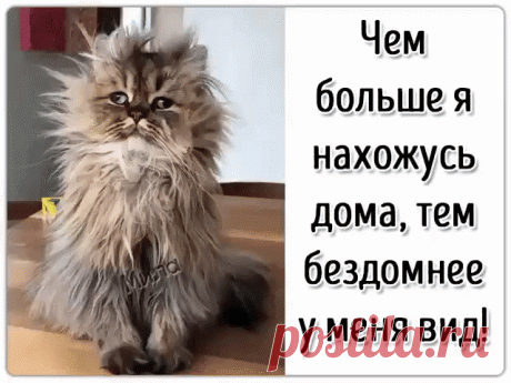 Минутка юмора