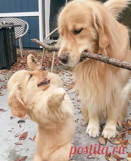 ЦИТАТЫ И ФОТО🎬📸 — Исследуем мир цветов 🐾