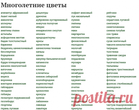 Многолетние цветы - сорта, посадка, выращивание, уход и размножение