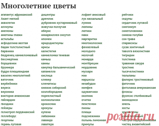 Многолетние цветы - сорта, посадка, выращивание, уход и размножение