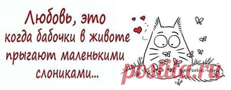 слова