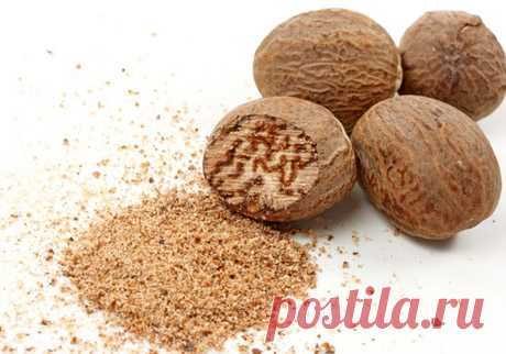 Лечебные свойства мускатного ореха
