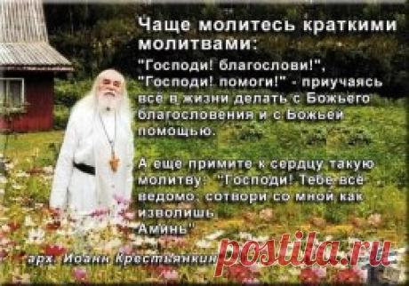 (3) Одноклассники