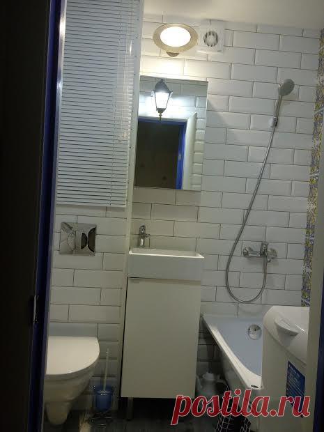 Слоник и кабанчик, заблудившиеся между Португалией, Грецией, Италией