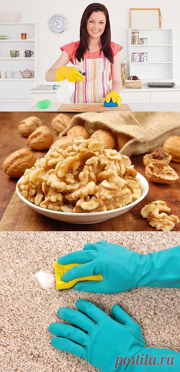 5 экономных домашних советов