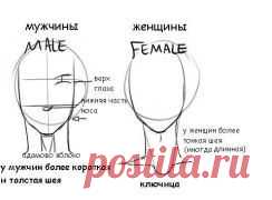 Хитрости рисования.