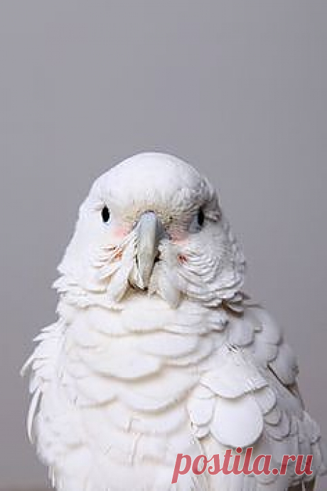 ❤