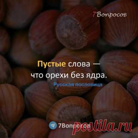 7Вопросов Пустые слова — что орехи без ядра. © Русская пословица