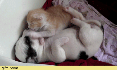 Мой Мир@Mail.Ru