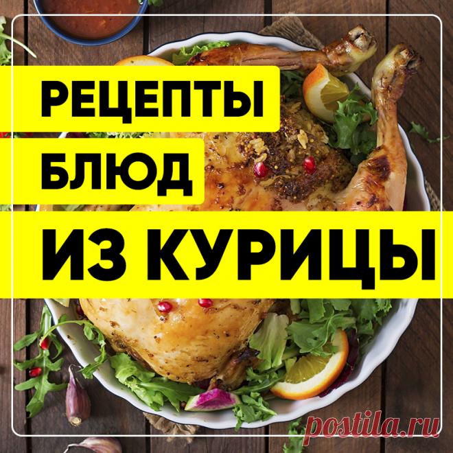 Вкусные рецепты из мяса курицы. Вторые блюда. Пошаговые кулинарные рецепты с фото приготовления блюд из птицы. #СвежиеРецепты #рецепты #рецепт #курица #блюдаизкурицы