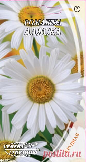 Ромашка крупноцветковая Аляска 0.5 г Белая (Семена Украины) 
Ромашка крупноцветковая Аляска 0.5 г Белая (Семена Украины) – купить на ➦ Rozetka.ua. ☎: (044) 537-02-22, 0 800 503-808. Оперативная доставка ✈ Гарантия качества ☑ Лучшая цена $