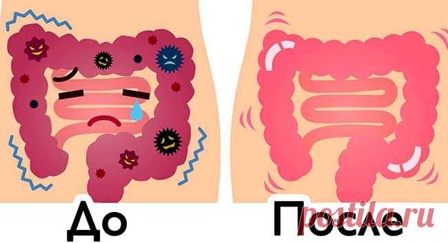 9 домашних средств для быстрой очистки кишечника / Будьте здоровы