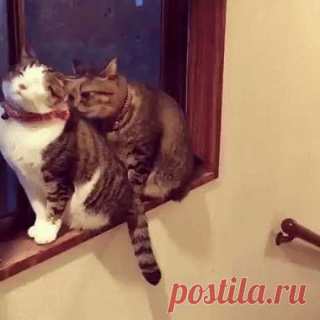 &quot;Сиди ровно, не дёргайся!&quot;Одноклассники
