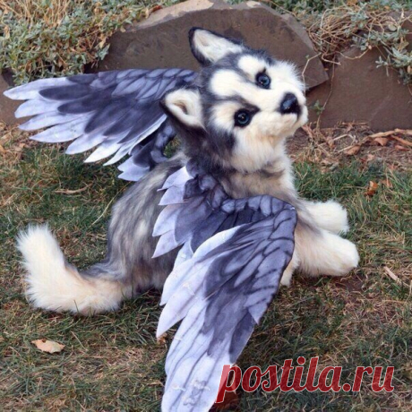 Войлочный хаски ручной работы